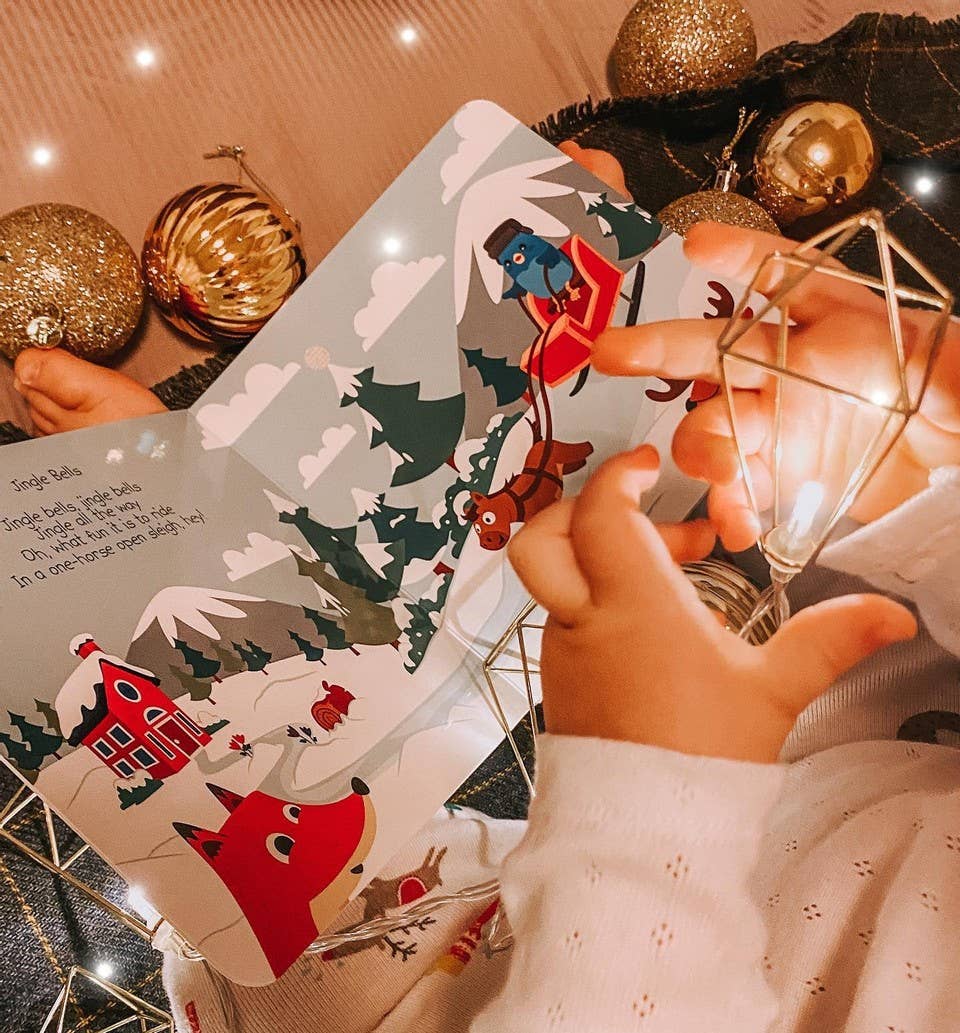 Ditty Bird Baby Books Christmas songs - Stocking stuffer