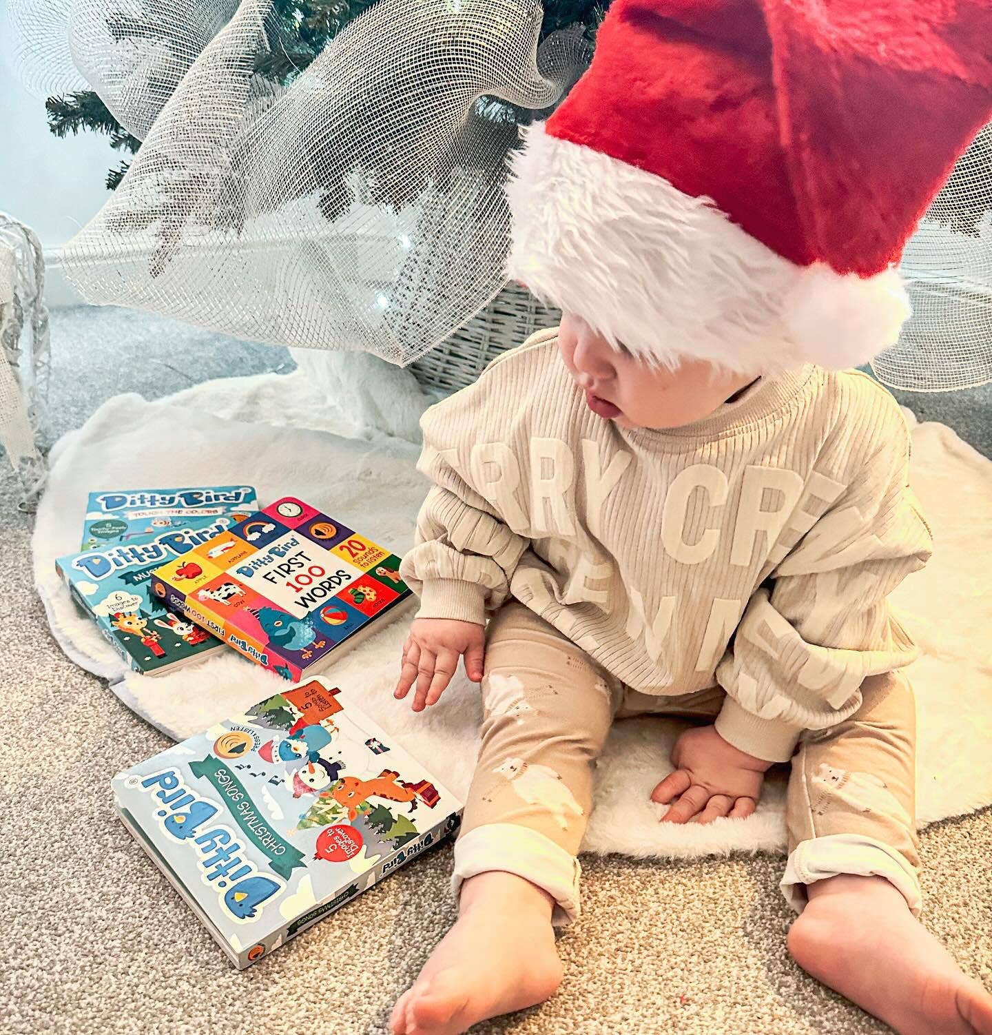 Ditty Bird Baby Books Christmas songs - Stocking stuffer