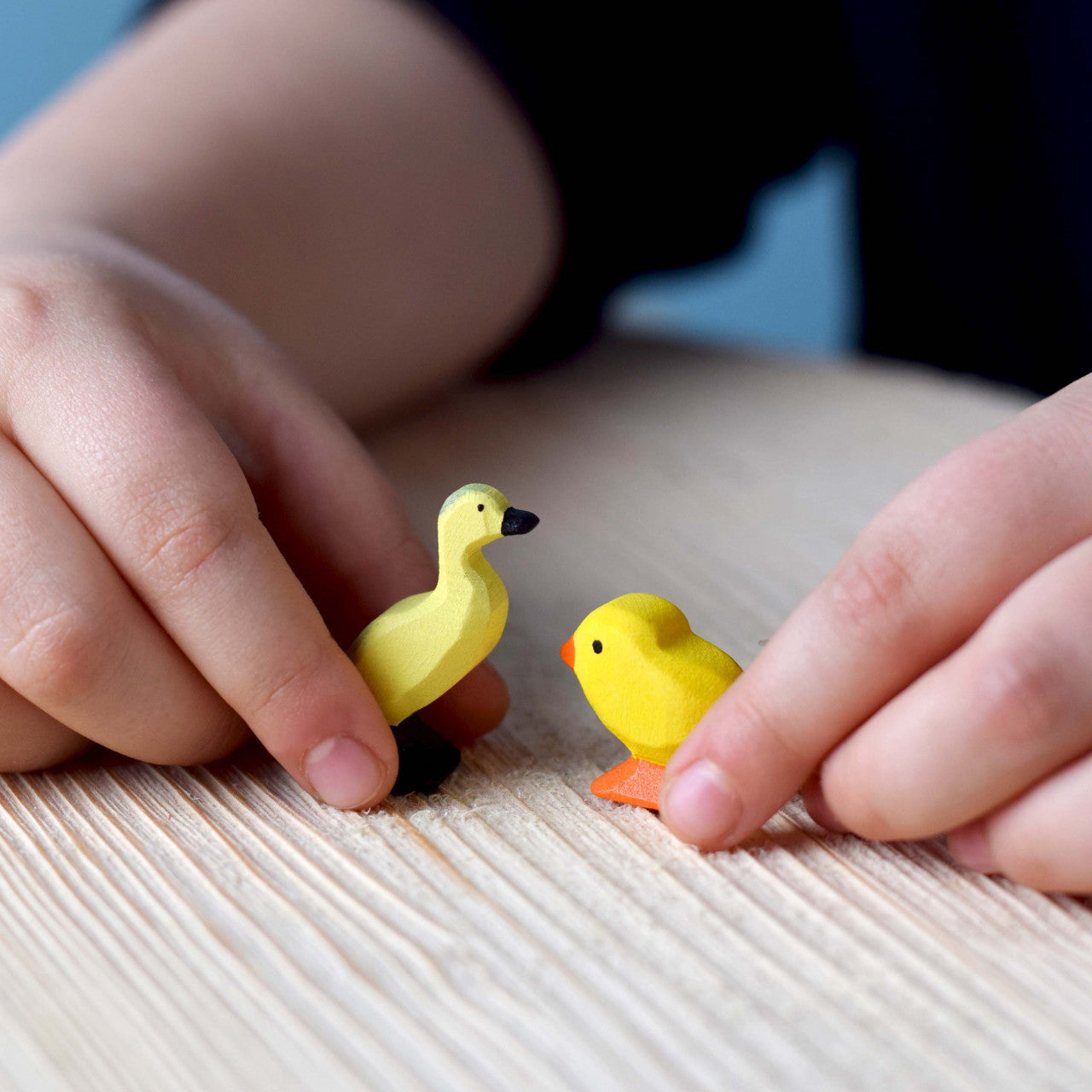Chicks