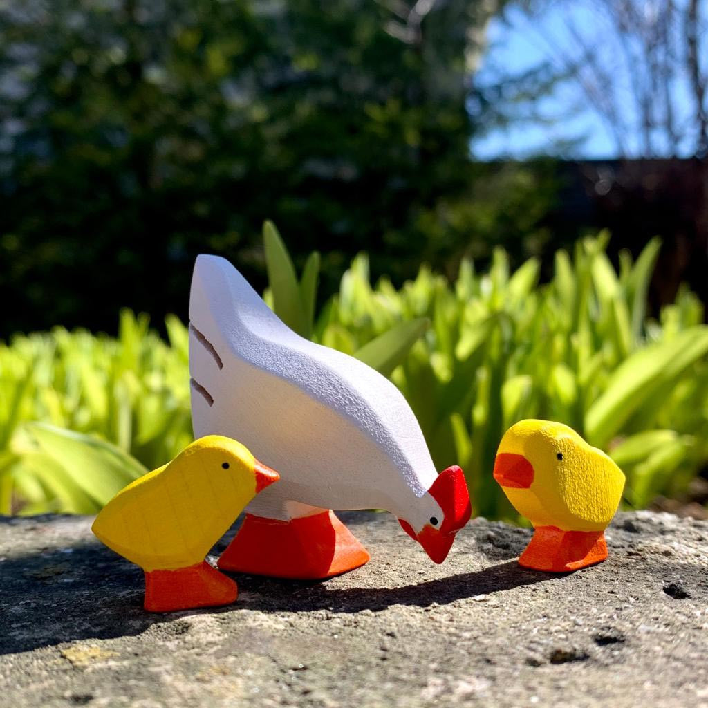 Chicks