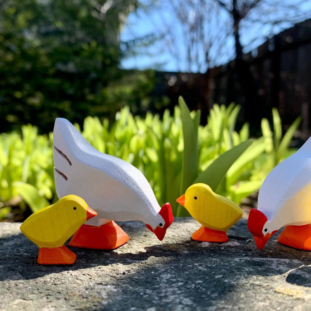 Chicks