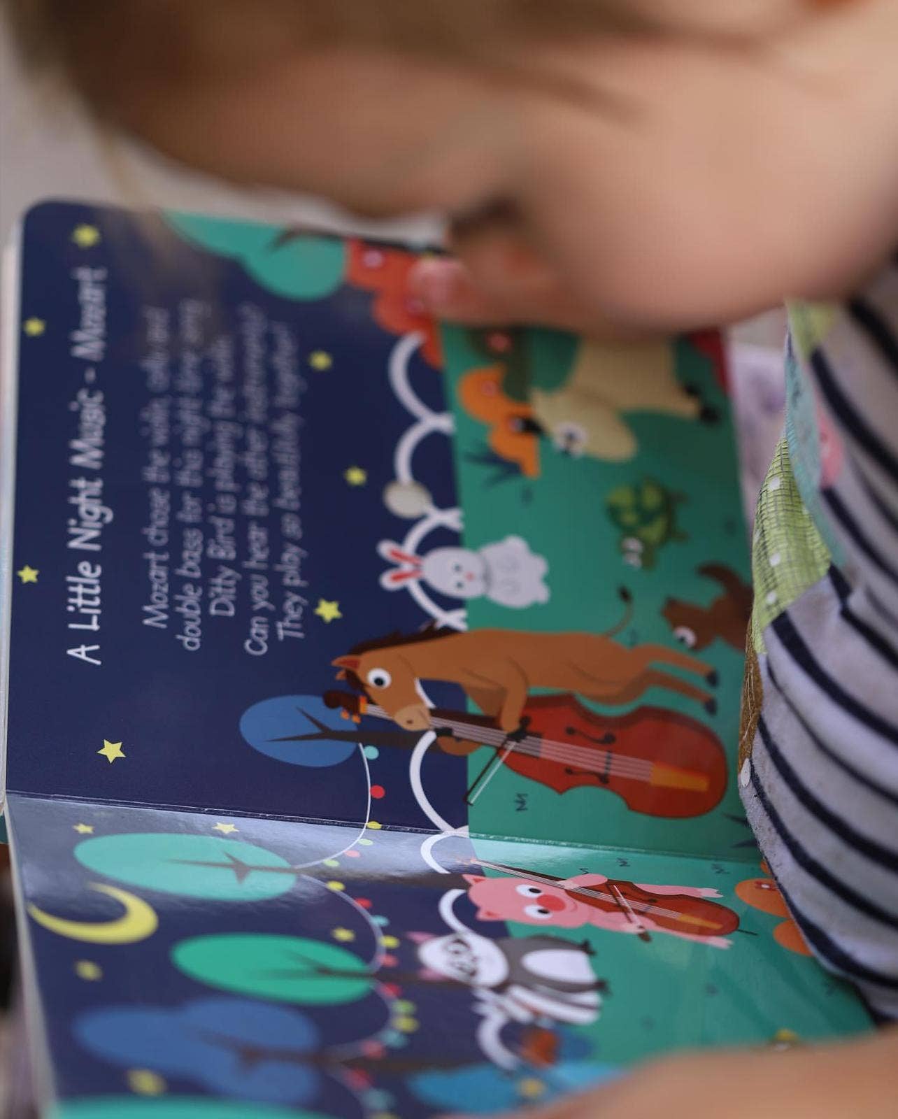 Ditty Bird Baby Sound Book: Classical Music Mozart-Beethoven