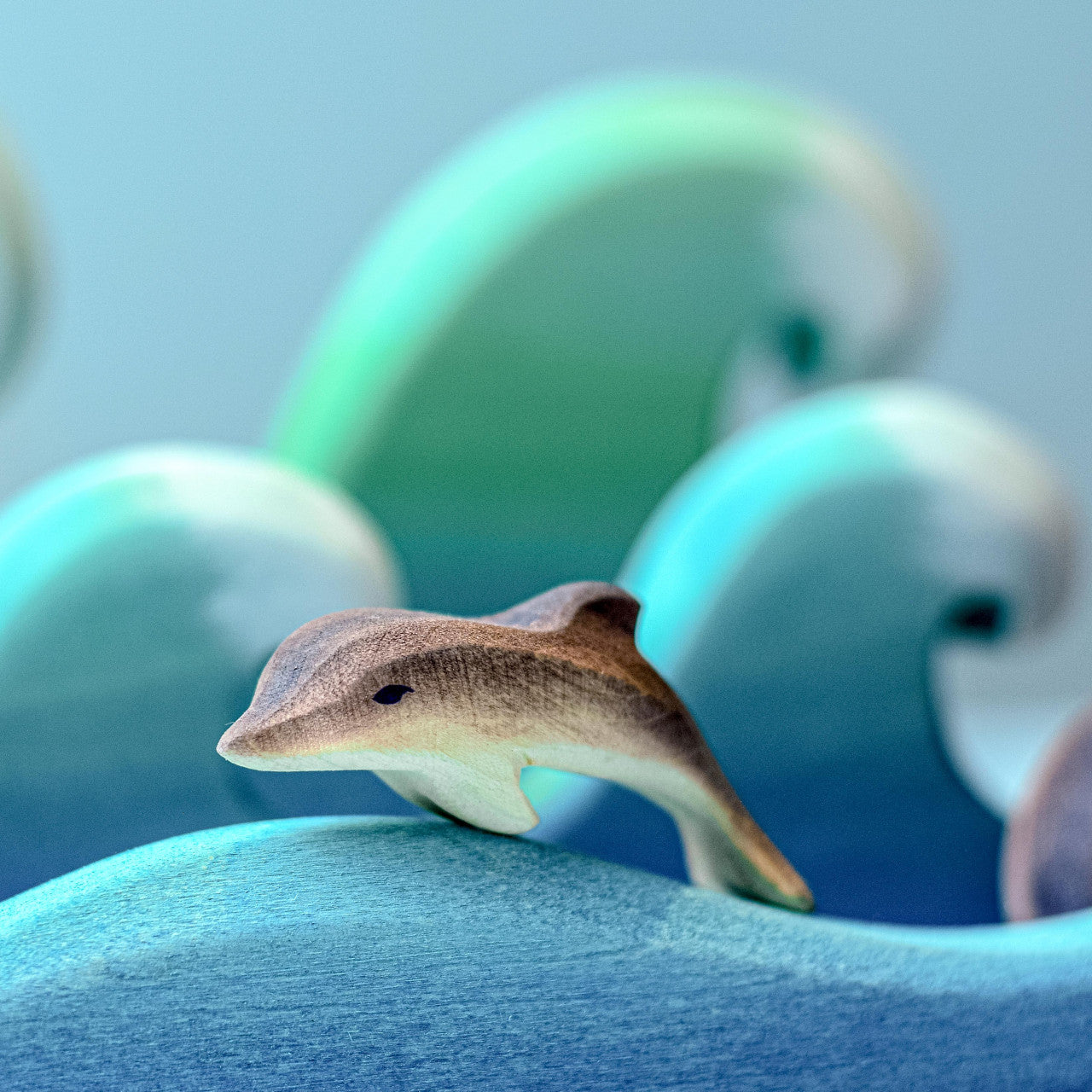 Dolphins SET