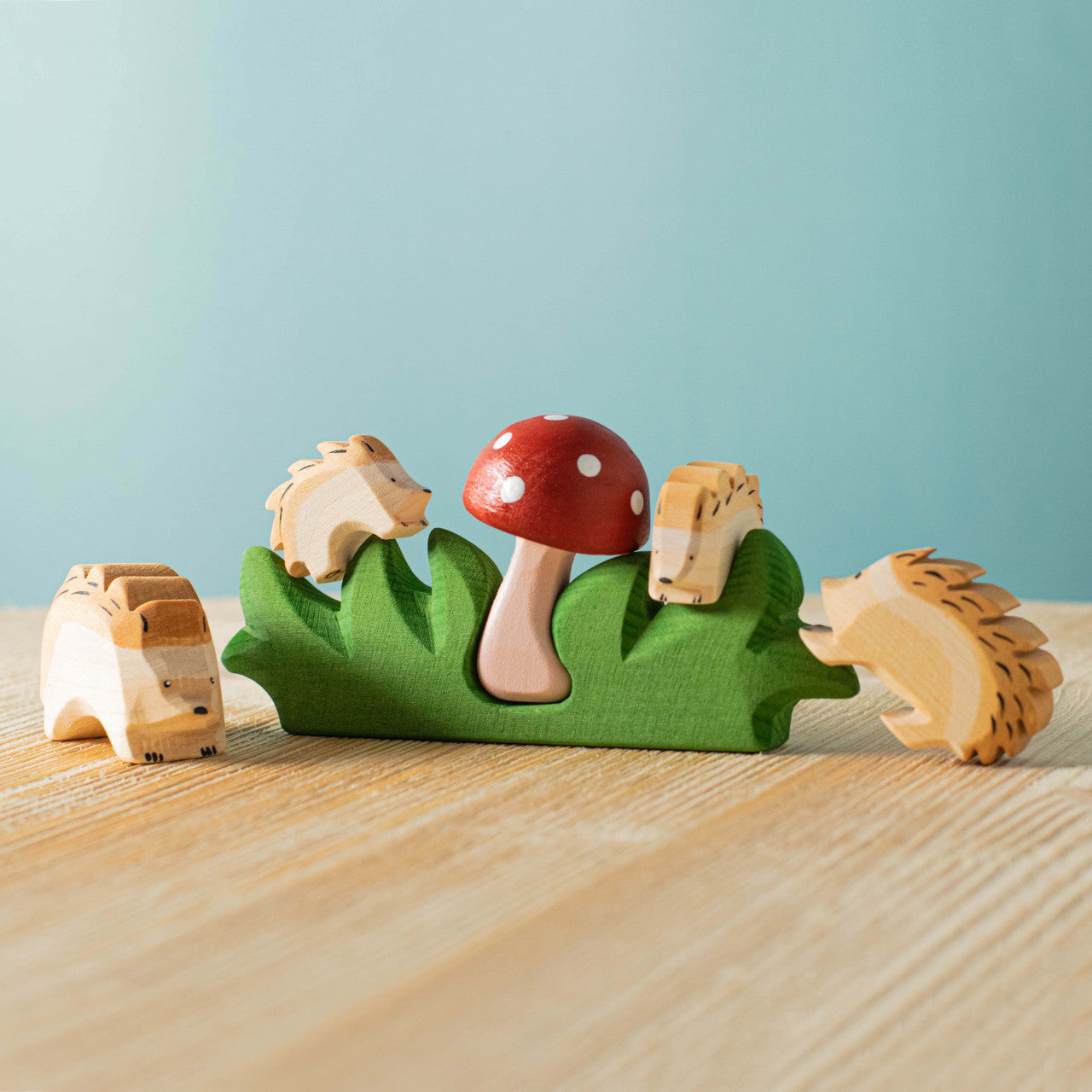 Mushroom in Grass