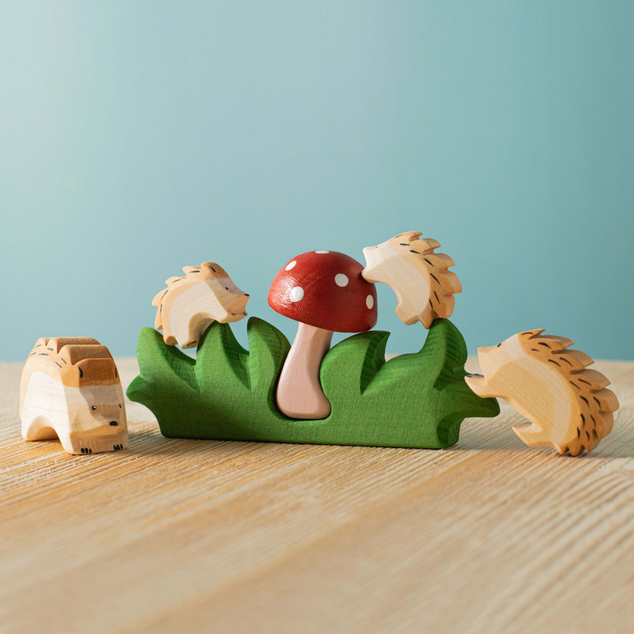 Mushroom in Grass