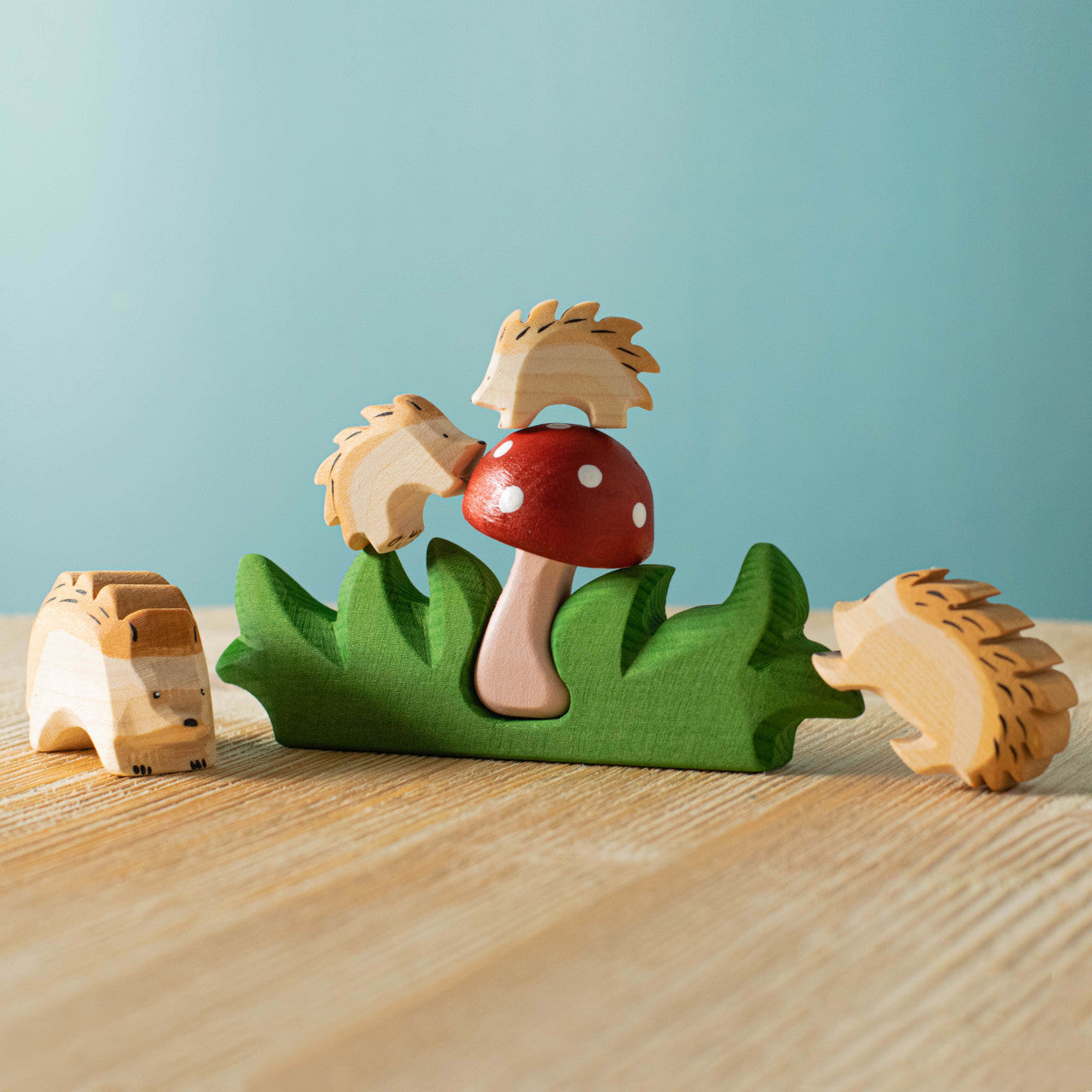 Mushroom in Grass