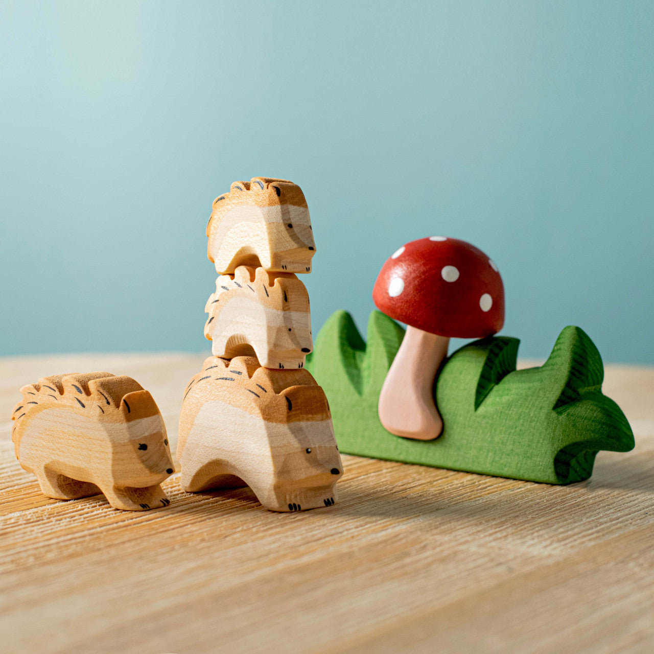Mushroom in Grass