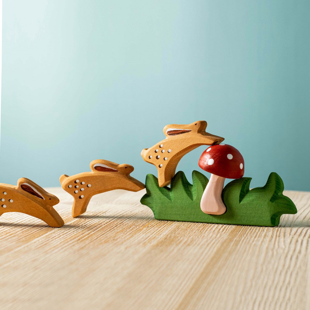 Mushroom in Grass