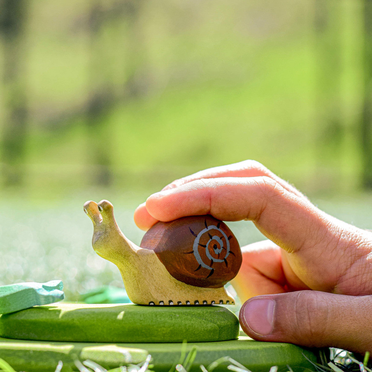 Snail