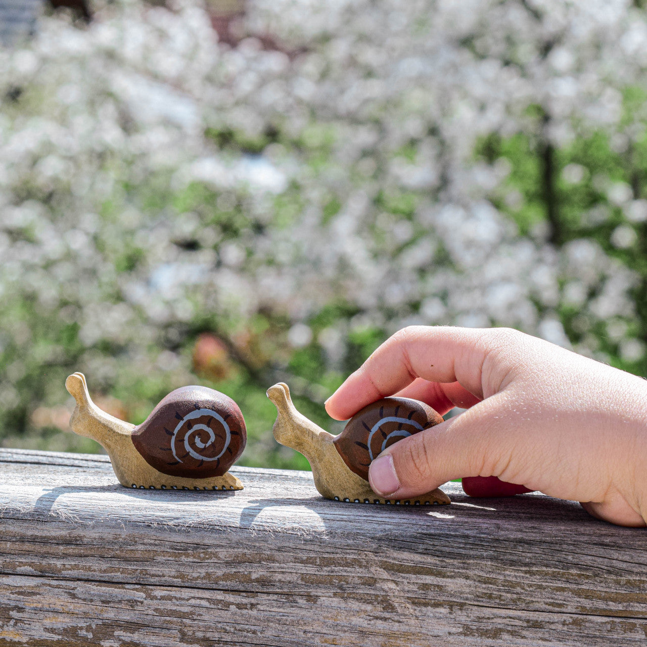 Snail
