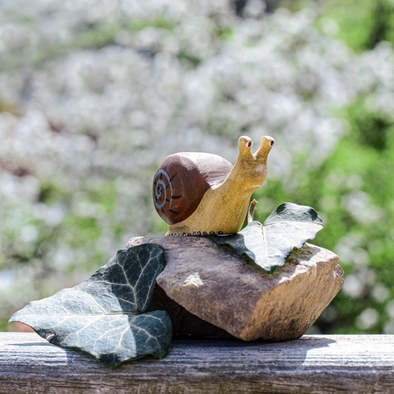 Snail