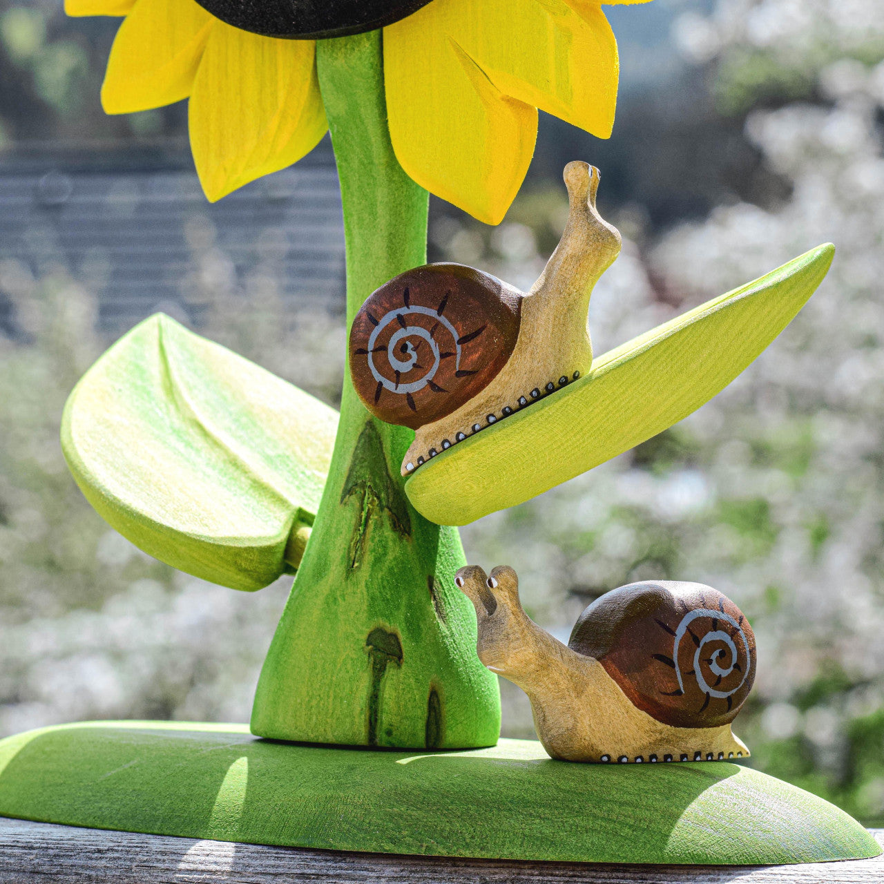 Snail