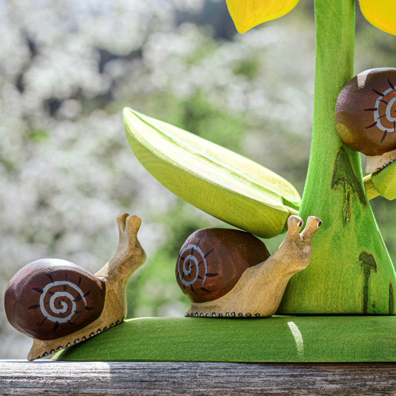 Snail