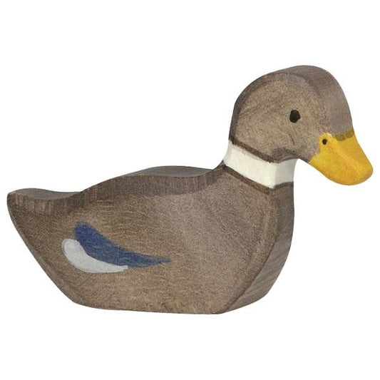 Duck, sitting
