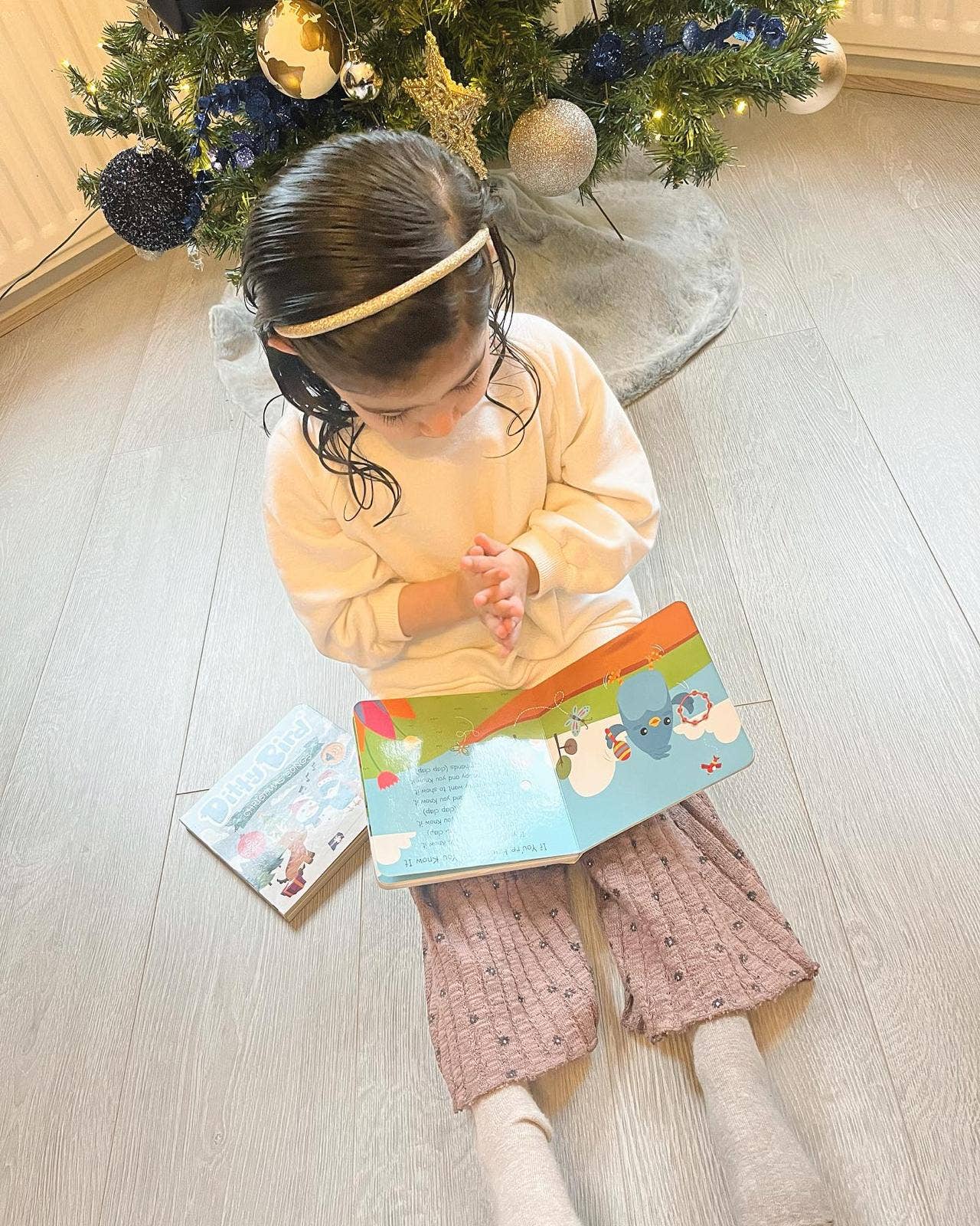 Ditty Bird Baby Sound Book: Learning Songs - ABC Baby Book