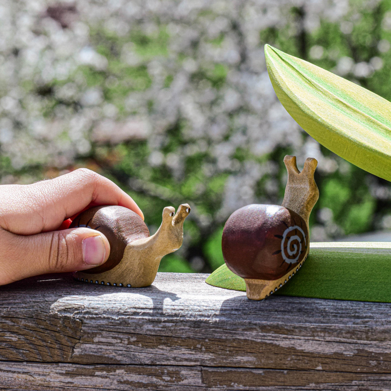 Snail