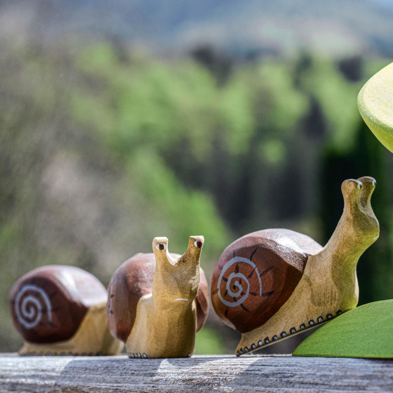 Snail