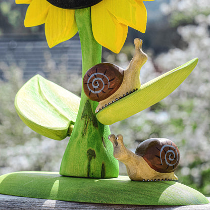 Snail